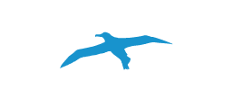 Cozumel Fishing Charters Albatros Charters Cozumel Fishing